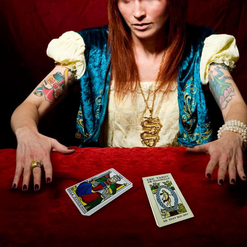 Mini Tarot of Marseille Tarot  - Board Game Instruction 리뷰 및 가격